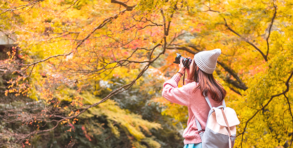 G22034-Breezy-Travel_During Trip_600x304 A girl is taking the photo of maple